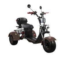 Electric scooter CITYCOCO SKYBOARD TRIKE BR40-3000 PRO