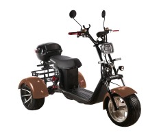 Electric scooter SKYBOARD TRIKE BR60-3000 PRO FAST