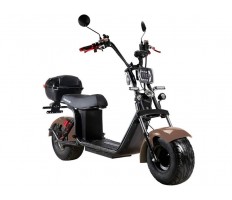 Electric scooter SKYBOARD BR20-3000 PRO FAST