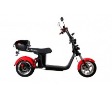 Electric scooter SKYBOARD BR30-3000 PRO FAST