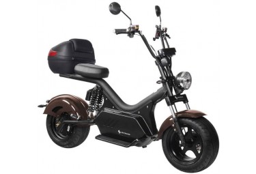 Electric scooter CityCoco SKYBOARD BR50-3000 PRO MAX Electric scooter CityCoco SKYBOARD BR50-3000 PRO MAX