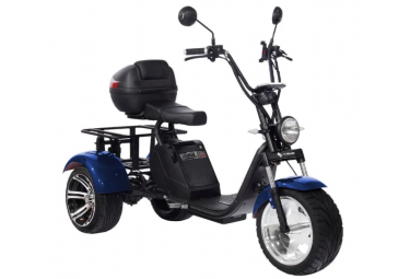 Электроскутер CityCoco SKYBOARD TRIKE BR80 Электроскутер CityCoco SKYBOARD TRIKE BR80