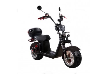 Electric scooter SKYBOARD BR30-2WD PRO FAST OFF-ROAD Electric scooter SKYBOARD BR30-2WD PRO FAST OFF-ROAD