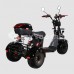 Электроскутер CITYCOCO SKYBOARD TRIKE BR40-3000 PRO