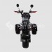 Электроскутер CITYCOCO SKYBOARD TRIKE BR40-3000 PRO