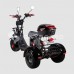 Электроскутер CITYCOCO SKYBOARD TRIKE BR40-3000 PRO