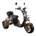 Электроскутер SKYBOARD TRIKE BR60-3000 PRO FAST Электроскутер SKYBOARD TRIKE BR60-3000 PRO FAST