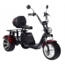 Электроскутер CityCoco SKYBOARD TRIKE BR80 Электроскутер CityCoco SKYBOARD TRIKE BR80