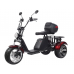 Электроскутер CityCoco SKYBOARD TRIKE BR80 Электроскутер CityCoco SKYBOARD TRIKE BR80