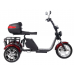 Электроскутер CityCoco SKYBOARD TRIKE BR80 Электроскутер CityCoco SKYBOARD TRIKE BR80