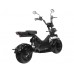 Electric scooter SkyBoard BR50-3000 PRO Electric scooter SkyBoard BR50-3000 PRO